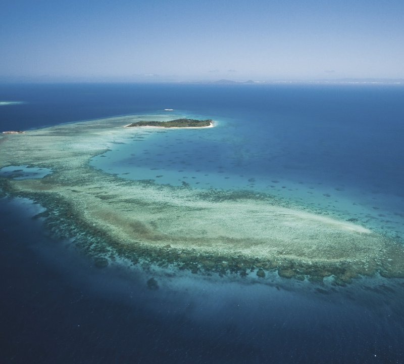 Ribbon Reef Great Barrier Reef QLD