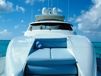 SHEAR FANTASEA -  Bow