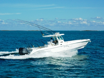 SHEAR FANTASEA - tenders