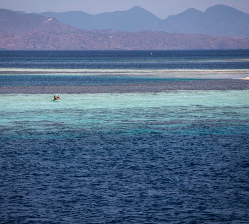Sandbar (Takamakasar) Komodo