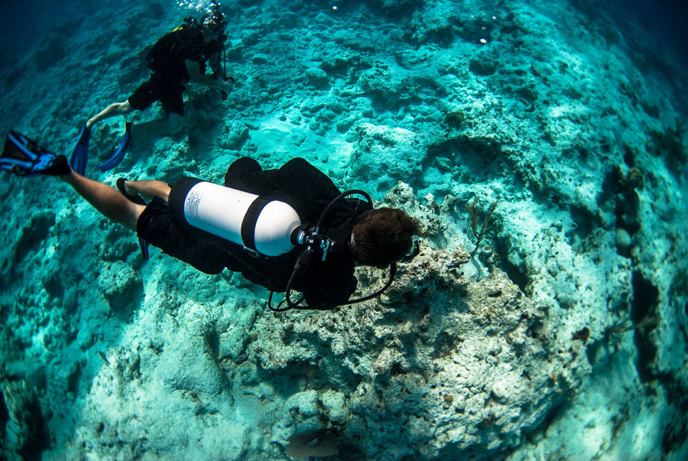 Scuba Diving