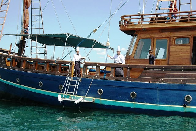 Tiger Blue -  Boarding