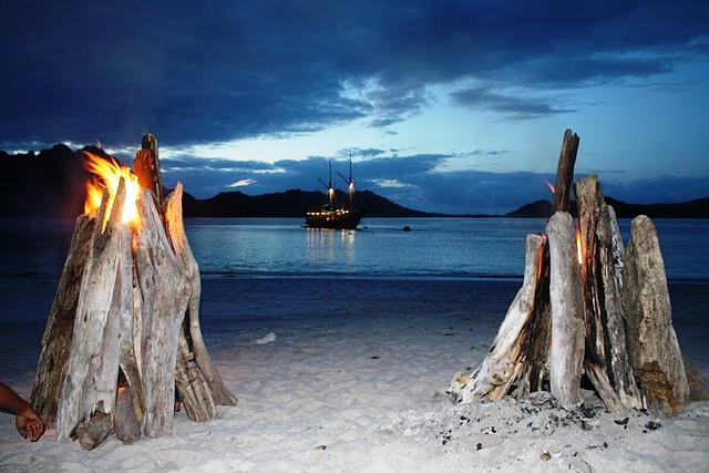 Tiger Blue -  Bonfire on the Beach