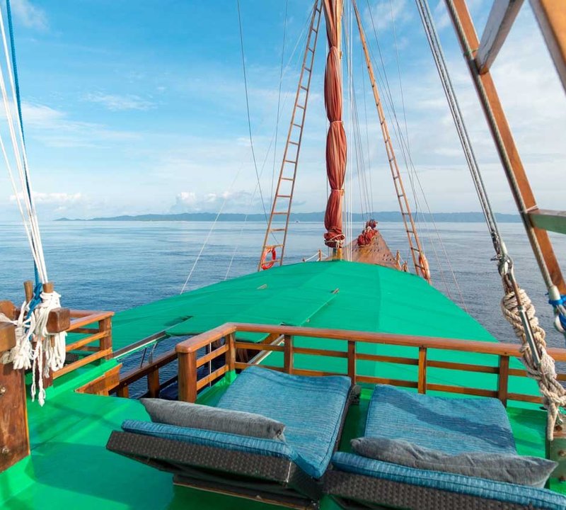 Tiger Blue Life Onboard
