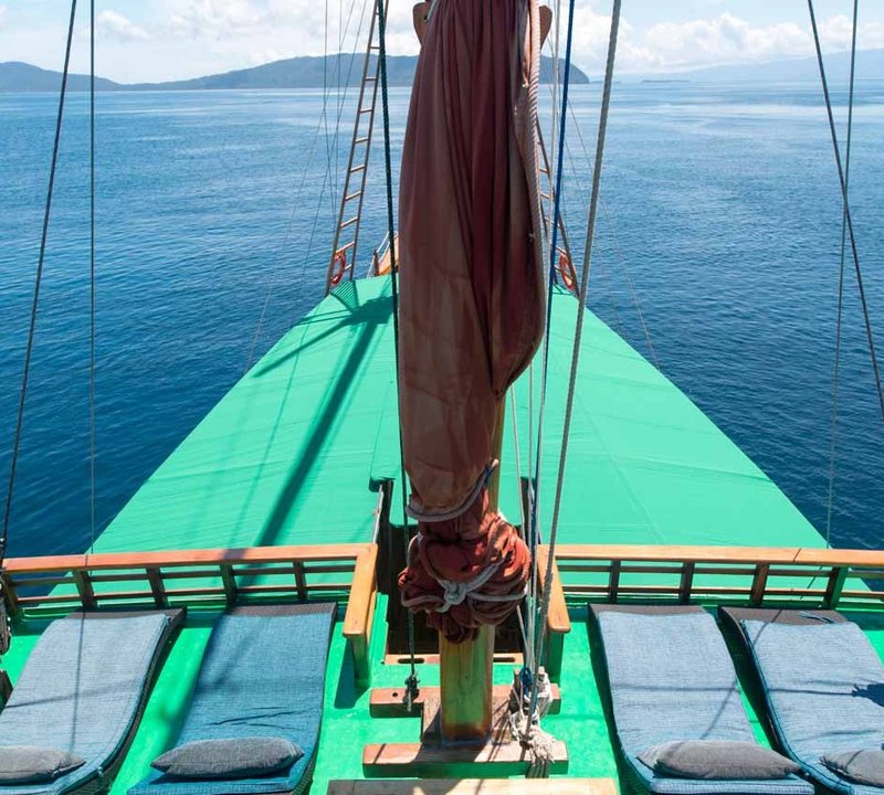 Tiger Blue Life Onboard