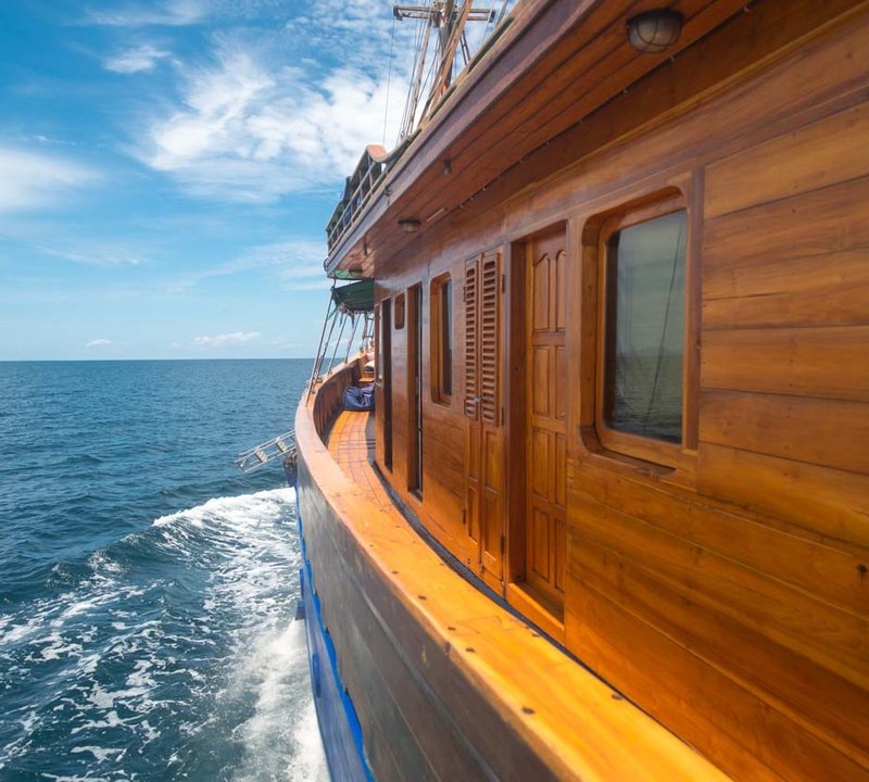 Tiger Blue Life Onboard