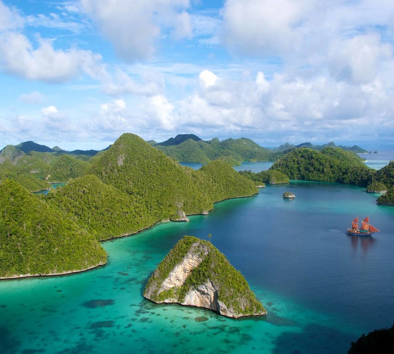 Tiger Blue In Raja Ampat