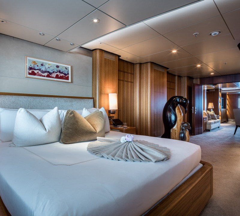 VIP Suite Storm Bed