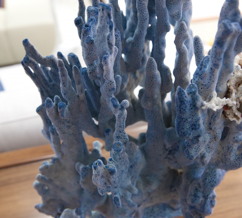 Yacht FIREFLY By Mulder - Unique Coral Feature