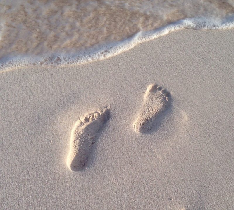 Feet