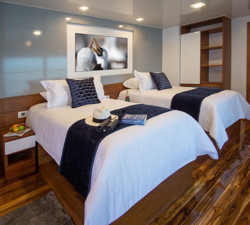 Guest Suite Twin