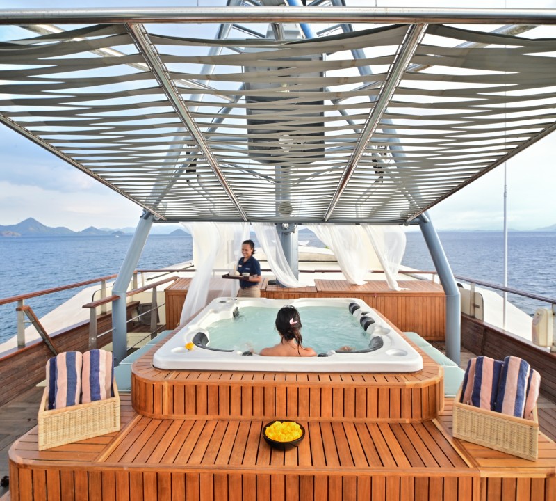 Monkey Island Jacuzzi - Kudanil - Jack Johns