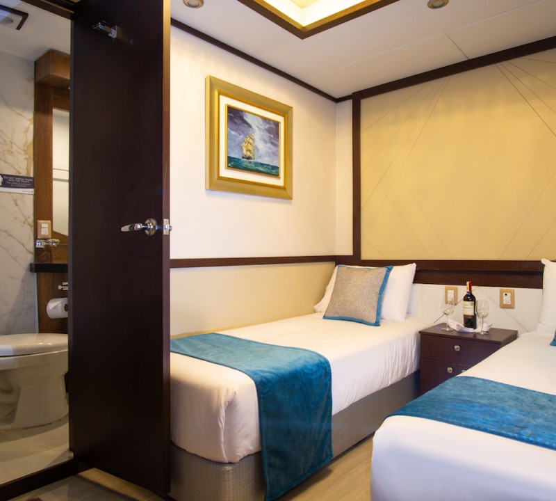 Twin Guest Cabin